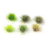 60 x selbstklebende Static Grass Grasb�schel Gr�n (Nr.10)